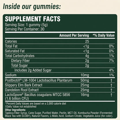 Armonia Labs™ 6-in-1 Probiotic Kombucha Gummies