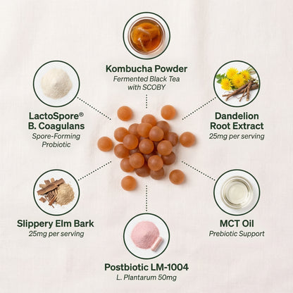 Armonia Labs™ 6-in-1 Probiotic Kombucha Gummies